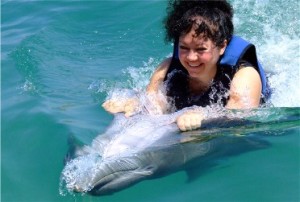 Dolphin Ride